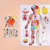 Jugar OMY | P Ster + Pegatinas "Cuerpo Humano"